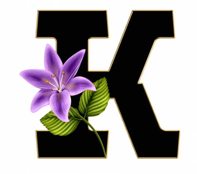 Alfabeto_Decorativo_Lirio_632_k