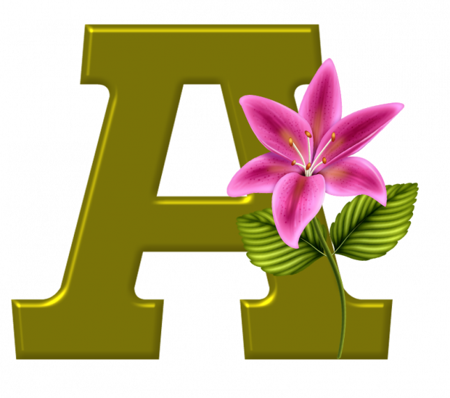 Alfabeto_Decorativo_Lirio_633_a