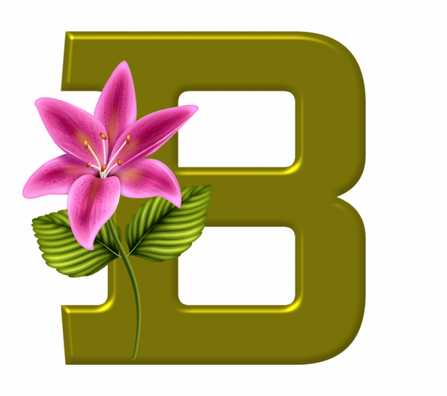 Alfabeto_Decorativo_Lirio_633_b