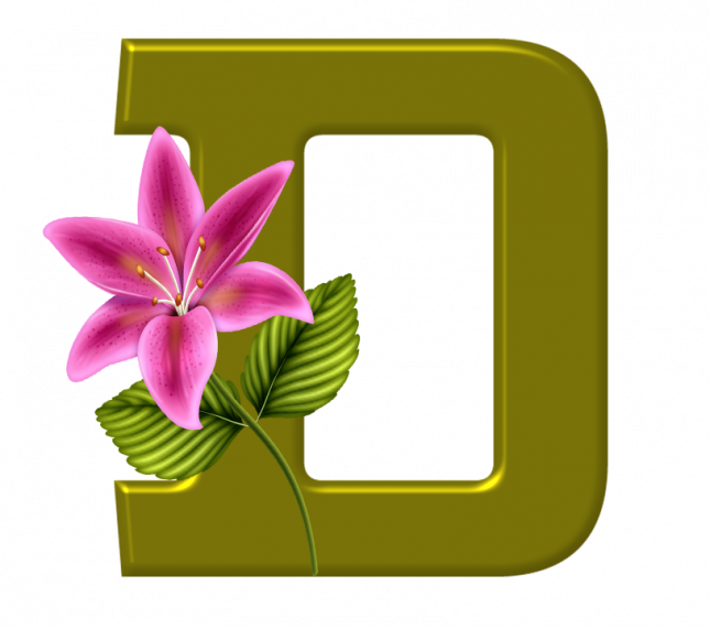 Alfabeto_Decorativo_Lirio_633_d