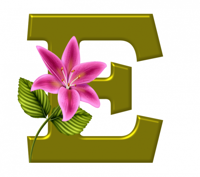 Alfabeto_Decorativo_Lirio_633_e