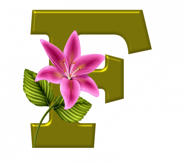 Alfabeto_Decorativo_Lirio_633_f