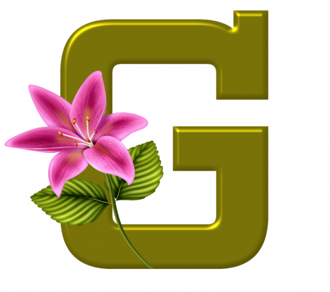 Alfabeto_Decorativo_Lirio_633_g