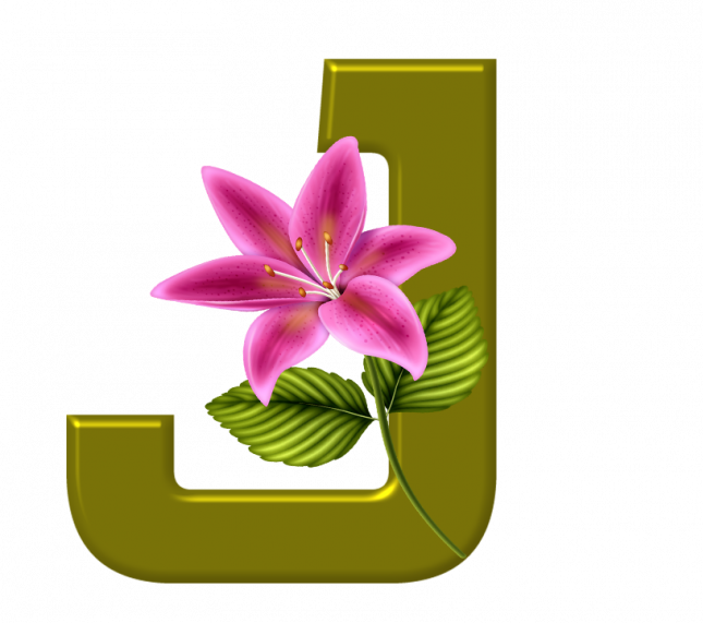 Alfabeto_Decorativo_Lirio_633_j