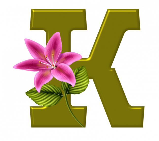 Alfabeto_Decorativo_Lirio_633_k