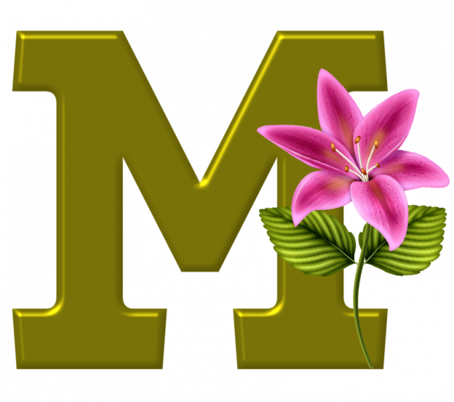 Alfabeto_Decorativo_Lirio_633_m