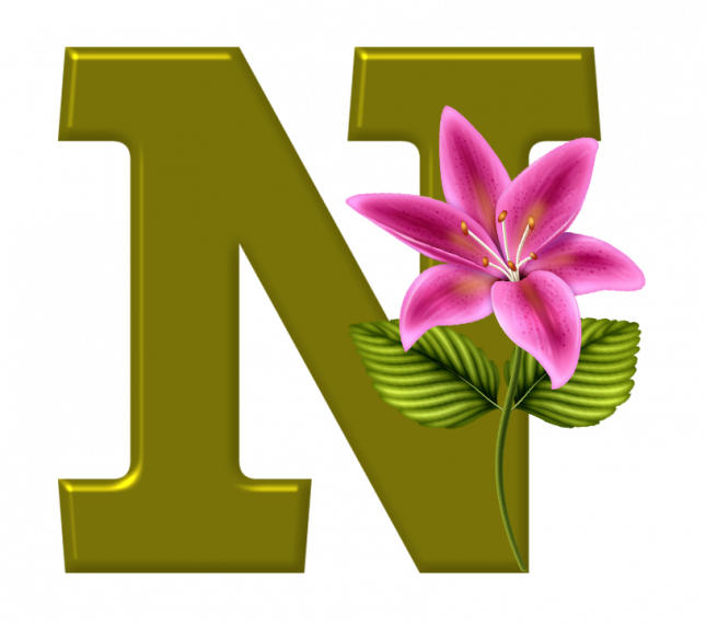 Alfabeto_Decorativo_Lirio_633_n