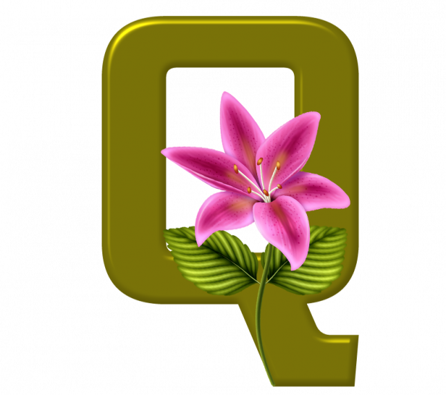 Alfabeto_Decorativo_Lirio_633_q