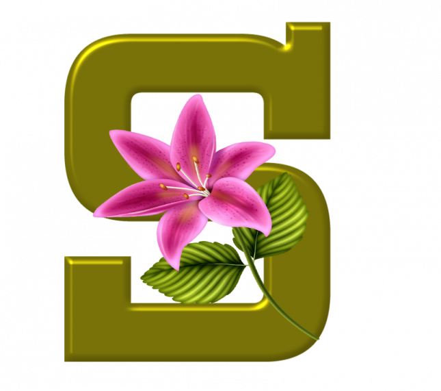 Alfabeto_Decorativo_Lirio_633_s