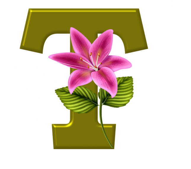 Alfabeto_Decorativo_Lirio_633_t