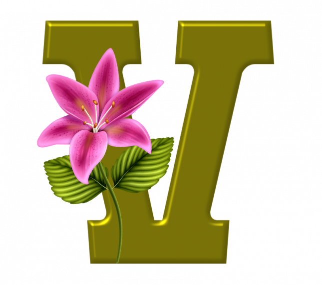 Alfabeto_Decorativo_Lirio_633_v