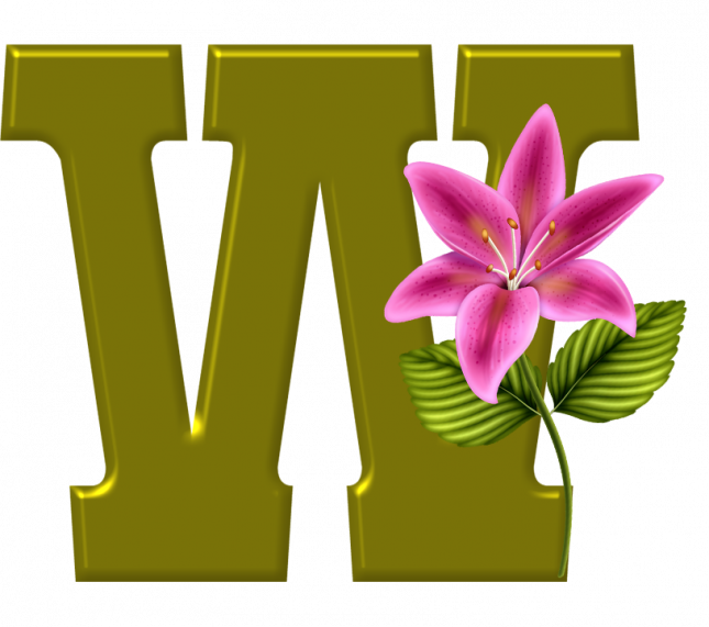 Alfabeto_Decorativo_Lirio_633_w