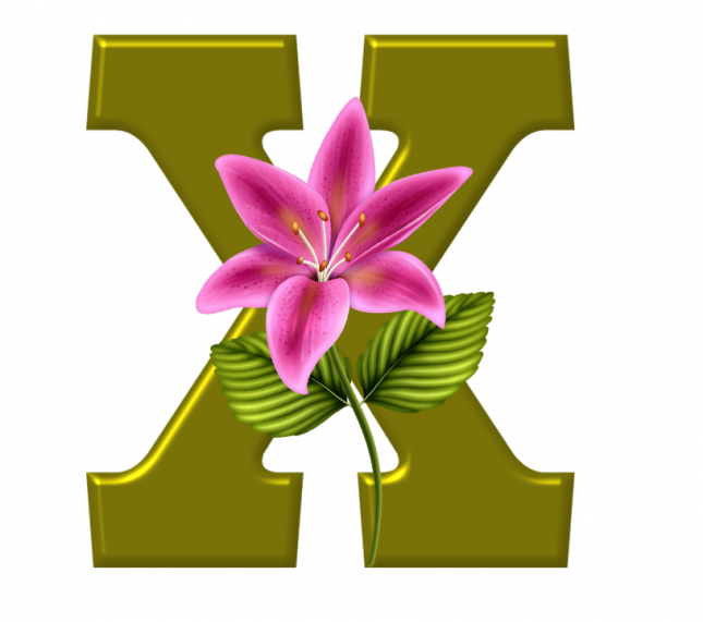 Alfabeto_Decorativo_Lirio_633_x