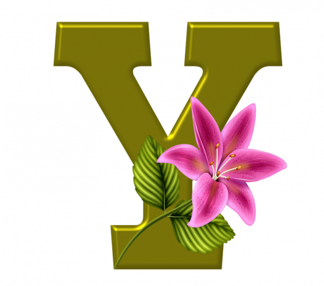 Alfabeto_Decorativo_Lirio_633_y