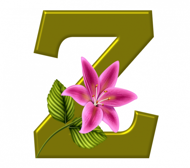 Alfabeto_Decorativo_Lirio_633_z