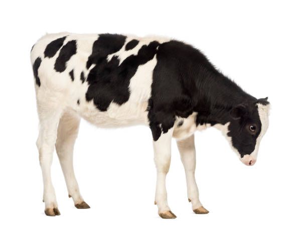 QH5D_225