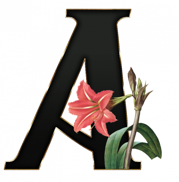 alfabeto_decorativo_Lirio_416_a