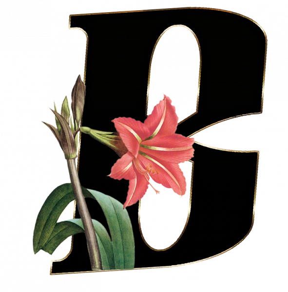 alfabeto_decorativo_Lirio_416_b