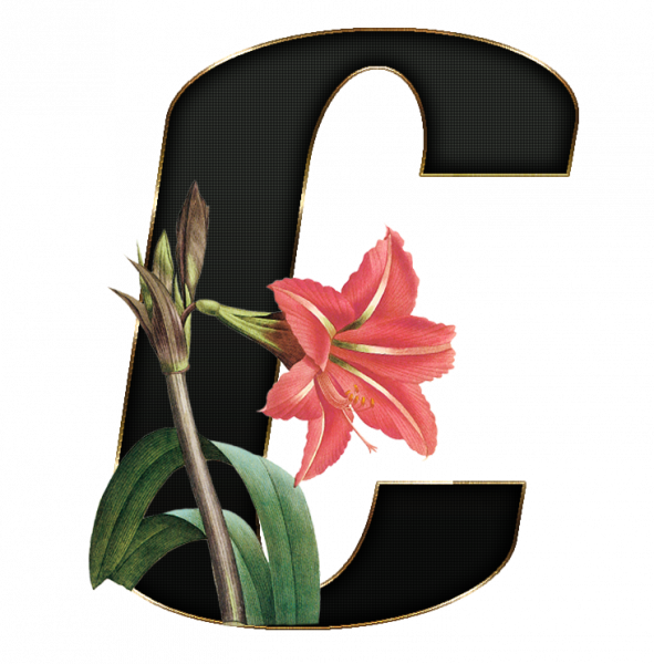 alfabeto_decorativo_Lirio_416_c