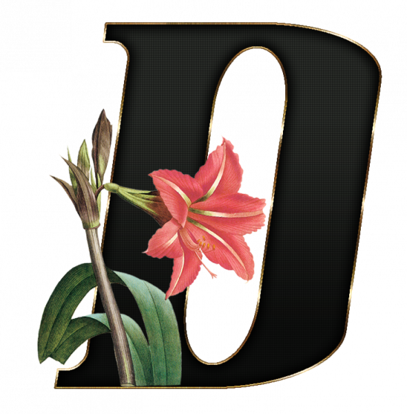 alfabeto_decorativo_Lirio_416_d