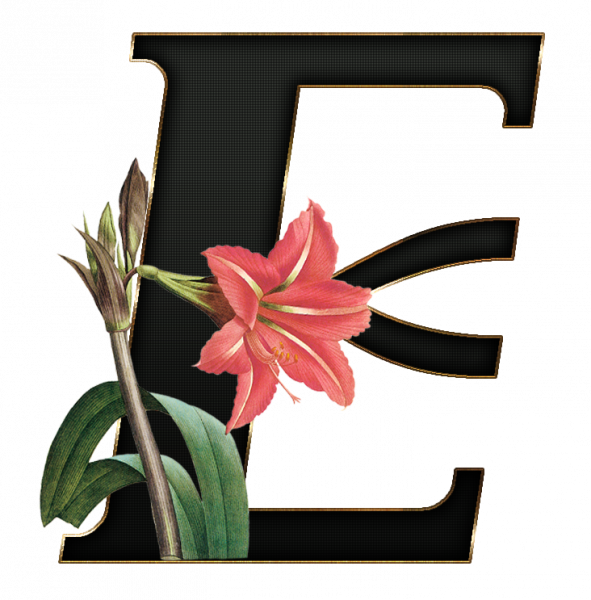 alfabeto_decorativo_Lirio_416_e