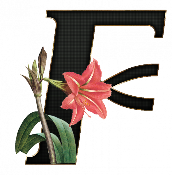 alfabeto_decorativo_Lirio_416_f