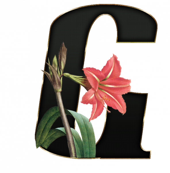 alfabeto_decorativo_Lirio_416_g