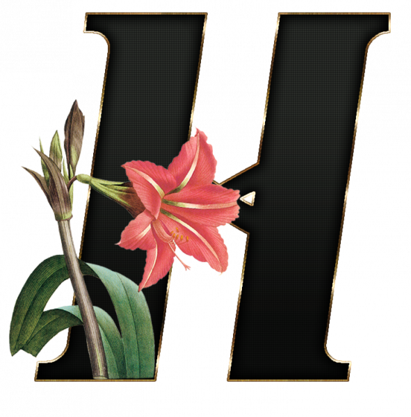 alfabeto_decorativo_Lirio_416_h