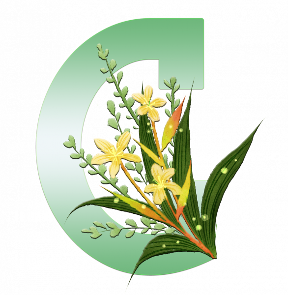 alfabeto_decorativo_Lirio_6_c