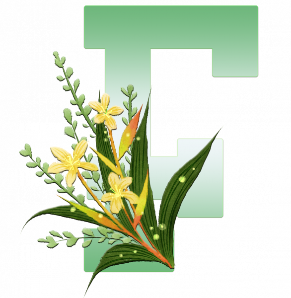 alfabeto_decorativo_Lirio_6_f