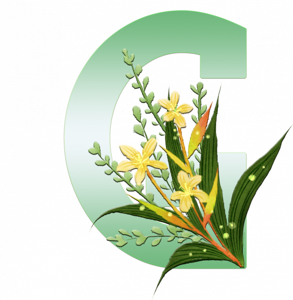 alfabeto_decorativo_Lirio_6_g