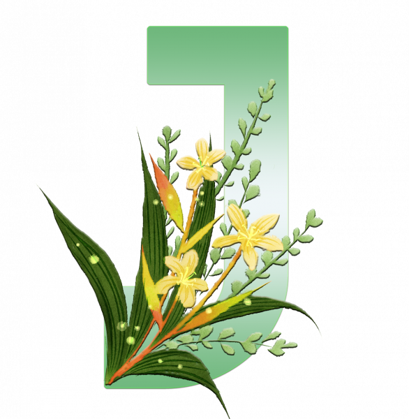 alfabeto_decorativo_Lirio_6_j