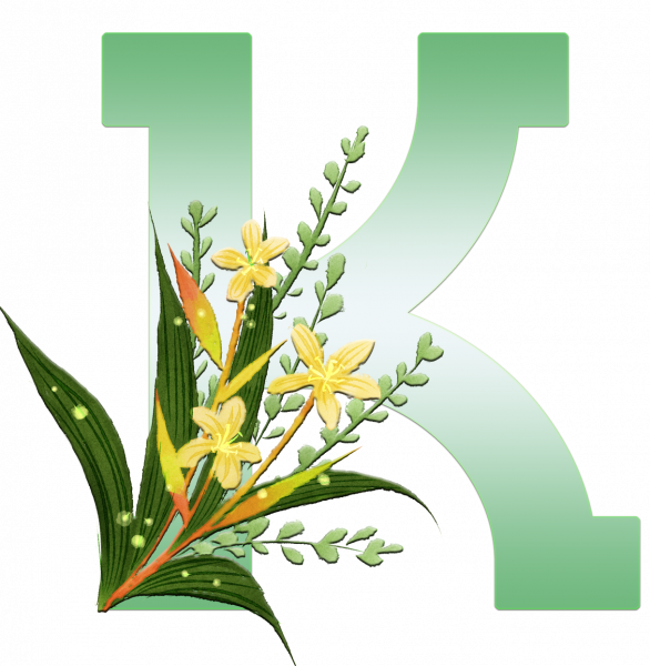 alfabeto_decorativo_Lirio_6_k