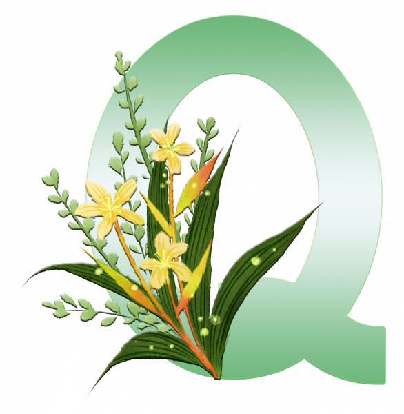 alfabeto_decorativo_Lirio_6_q