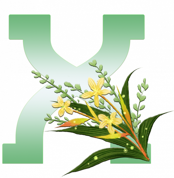 alfabeto_decorativo_Lirio_6_x