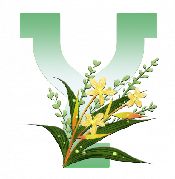 alfabeto_decorativo_Lirio_6_y